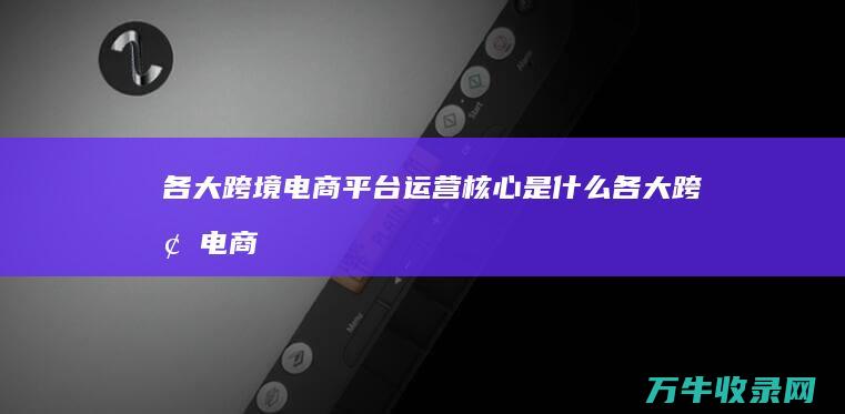 各大跨境电商平台运营核心是什么 (各大跨境电商平台开店费用)